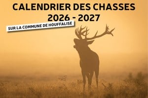 Illustration de l'actualité - cliquer pour agrandir