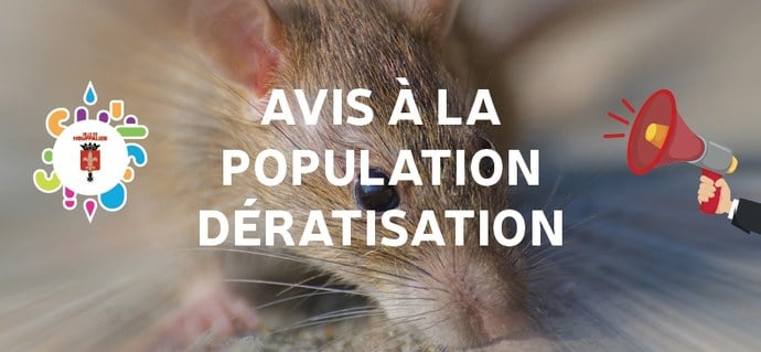 Dératisation