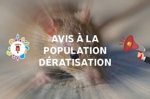 Illustration de l'actualité - cliquer pour agrandir